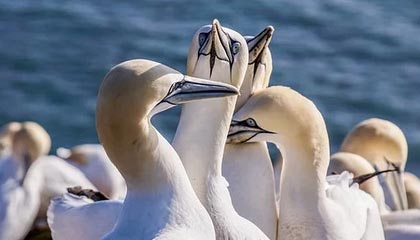 开云下载-佩雷兹2021年搭档维斯塔潘 “瘸腿”的红牛能跑了